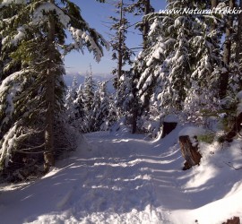 Snowshoeing - West Vancouver, BC